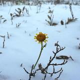 Аватарка канала Синдром Атома