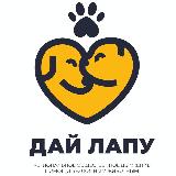 Аватарка канала Дай лапу Сургут