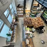 Аватарка канала Аквариумная студия Маши Блюм