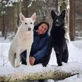 Аватарка канала Dogtrening