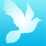 Аватарка канала Добро Мира - Волонтёры Крыма