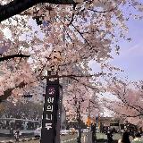 Аватарка канала "Подслушано в Щелково"