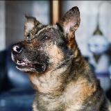 Аватарка канала tati687 🐾🐾