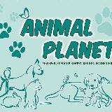 Аватарка канала Animalplanet.mlt