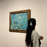 سبز تر از جنگل‌ avatar