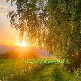 Аватарка канала "Roblox Life World"