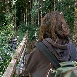 Аватарка канала Уголок мотивации