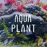 Аватарка канала AquaPlant – природный аквариум