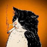 Аватарка канала шерстяные проказники • коты