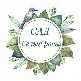 Аватарка канала Сад "Белые росы" саженцы