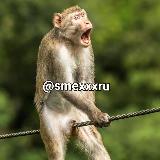 Аватар канала 1557485733