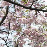 Аватар канала 1764322555