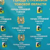 Аватарка канала Оперативная информация ЕДДС Стрежевого