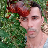 Аватарка канала Лёшкин огород🌱🍅 Leshkin_ogorod