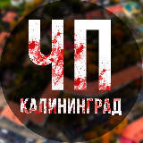 Аватарка канала ЧП Калининград