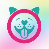 Аватарка канала Лапа Любви