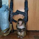 Аватарка канала Ｖｎｏｃｏ