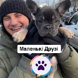 Аватарка канала Маленькі Друзі. Пухнасті Друзі Цуценя 🐶 Кошеня 🐱