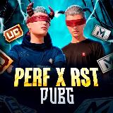 Аватарка канала "PERF x RST PUBG"