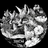 Аватарка канала "Издательство "ЛИ́СЫ"🦊"