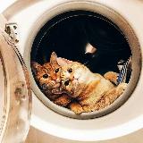 Аватарка канала Дозорная помощь