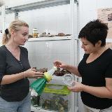 Аватарка канала ЗАЩИТА и УПРАВЛЕНИЕ ростом декорат. растений