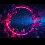 Аватарка канала "𝙳𝙾𝙽𝙰𝚃 𝙼𝙰𝚁𝙺𝙴𝚃"