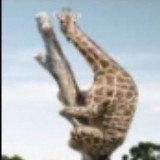 Аватарка канала Виктор Будусов