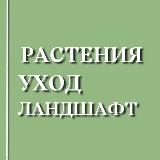 Аватарка канала РАСТЕНИЯ | УХОД | ЛАНДШАФТ
