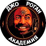 Аватарка канала Академия Джо Рогана