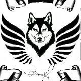 Аватарка канала Zver_mka