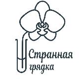 Аватарка канала Странная грядка