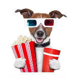 Аватарка канала СЕРИАЛЫ 2025