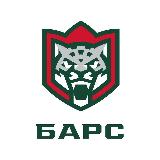 Аватарка канала ХК «Барс»