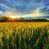 Аватар канала 1237224637