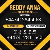Аватарка канала REDDY ANNA BOOK