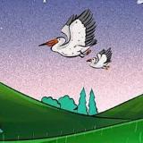 Аватарка канала 🐦 По дороге с Пеликаном. Познавательные прогулки по Черногории