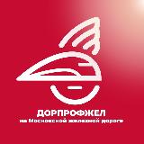 Аватарка канала Дорпрофжел на МЖД