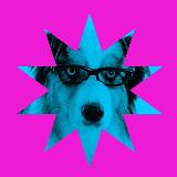 Аватарка канала Каталог лепроканалов