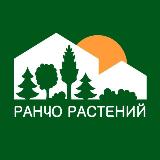 Аватар канала 1750599454