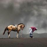 Аватар канала 2388589671