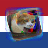 Аватарка канала Подслушано в Нидерландах (Котики)