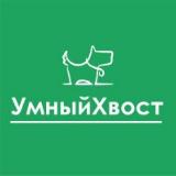 Аватарка канала УмныйХвост