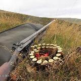 Аватарка канала Hunting_in_Russia_Official