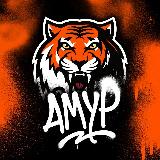 Аватарка канала Территория Тигров | ХК «Амур»