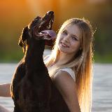 Аватар канала 1523550543