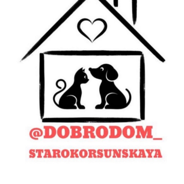 Аватарка канала Dobrodom помощь бездомным животным