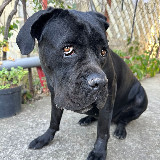 Аватарка канала Юрист-юморист: будни