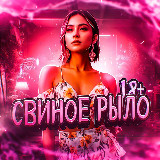 СВИНОЕ РЫЛО 18+ avatar
