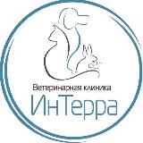 Аватар канала 1724558078